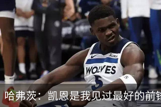 哈弗茨：凯恩是我见过最好的前锋之一；谁进球并不重要