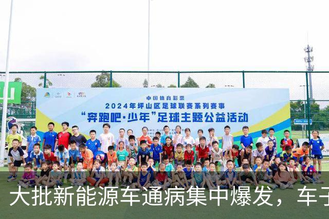 大批新能源车通病集中爆发，车子开着没毛病，电池却直接报废
